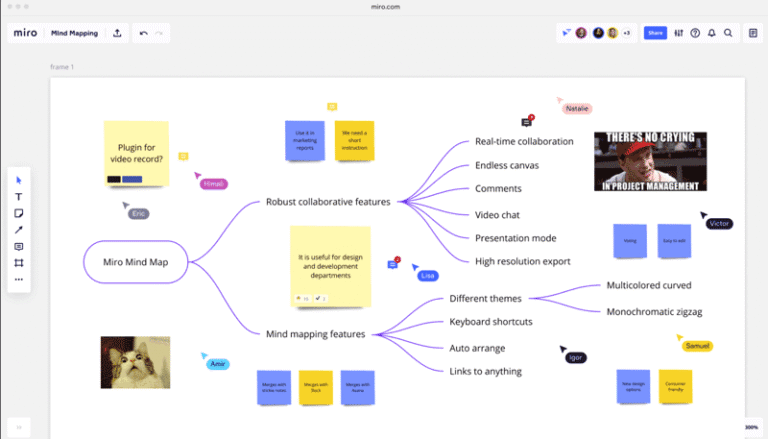Miro Software