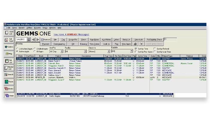GEMMS Software