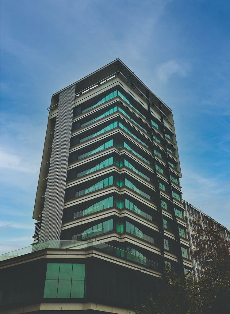 Jean Spence, Brown LLC