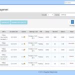 ViSolve Medical Billing