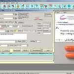 Abacus Pharmacy Plus