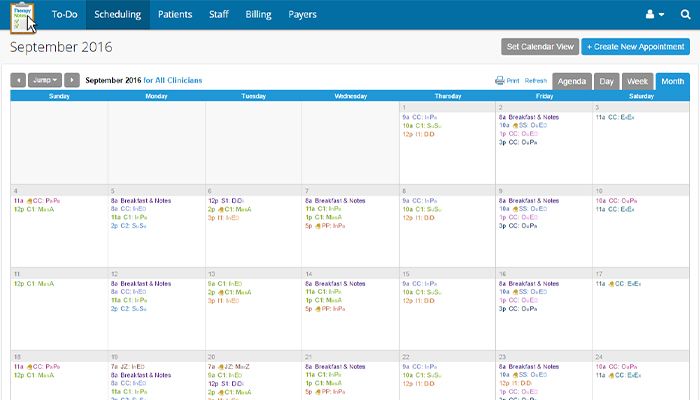 TherapyNotes EHR