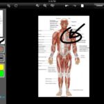 One Touch EMR