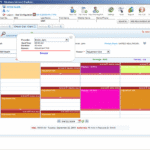 RAPID EHR