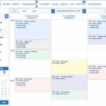 MYLE Software