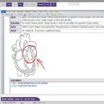 CaregiverDesktop EHR