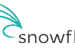 Snowfly