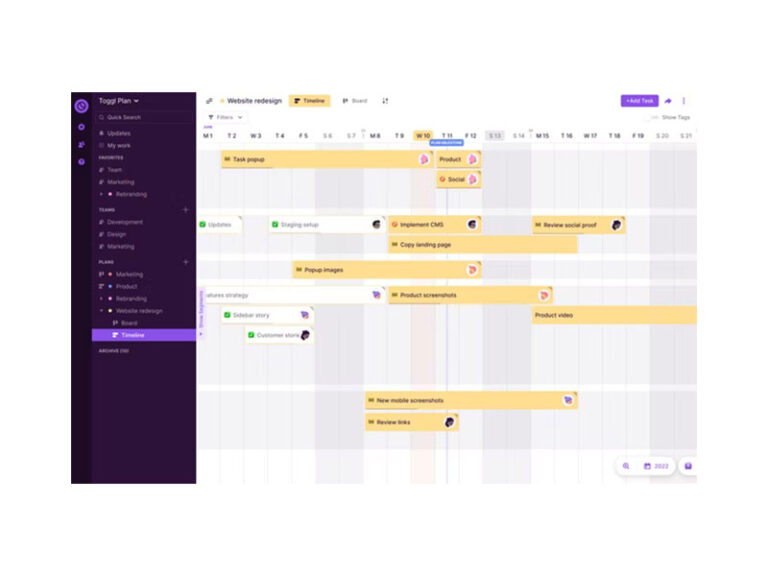 Toggl plan