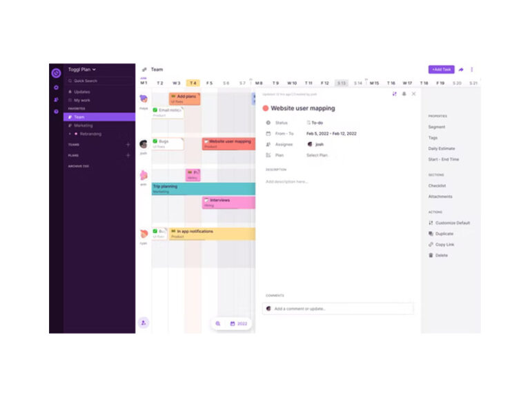 Toggl plan