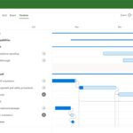 Microsoft Project