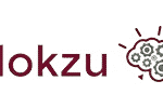Flokzu