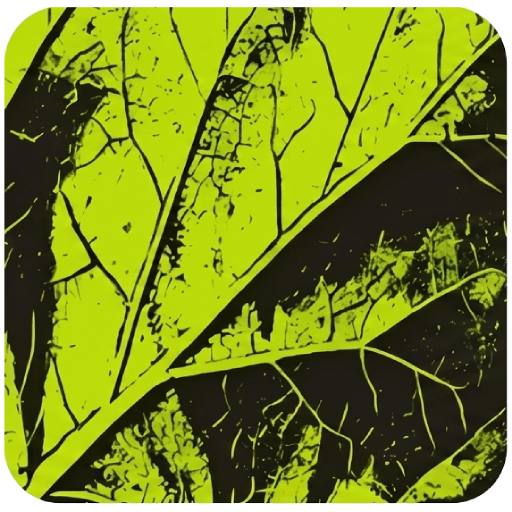 Lemon LMS software image