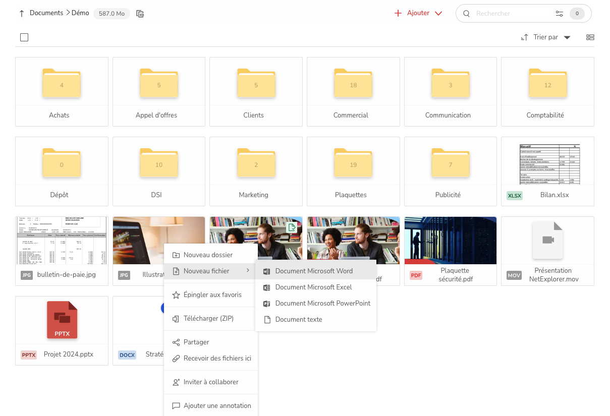 NetExplorer Workspace Software