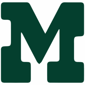 Mode Software logo