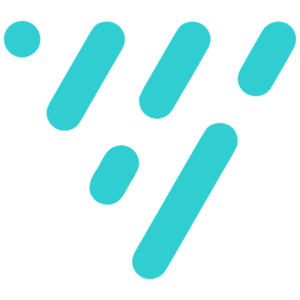 Visier Software logo