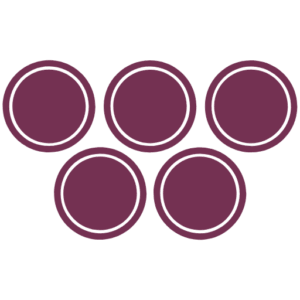 Wyn Enterprise Software logo