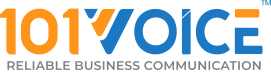 101VOICE Software logo