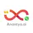 Anantya Software logo