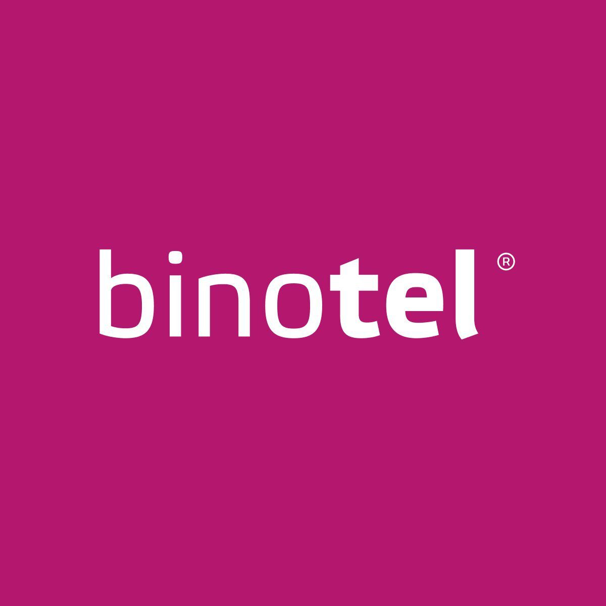 Binotel Software software image