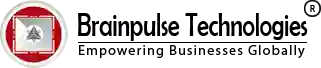 Brainpulse Software software image