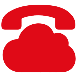 Fonvirtual Software logo