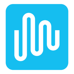 Intulse Software logo