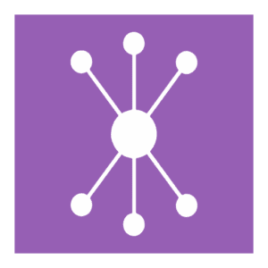 Numeracle Software logo