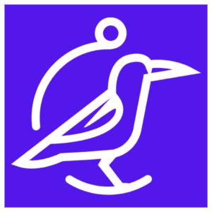 Perch Insights Software logo