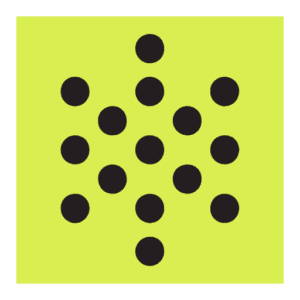 PolyAI Software logo