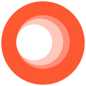 Runo Software logo
