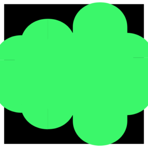 Voxia Software logo